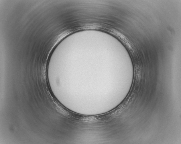 X0000115441186200912020938