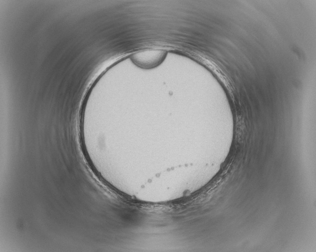 X0000115441187200912020938