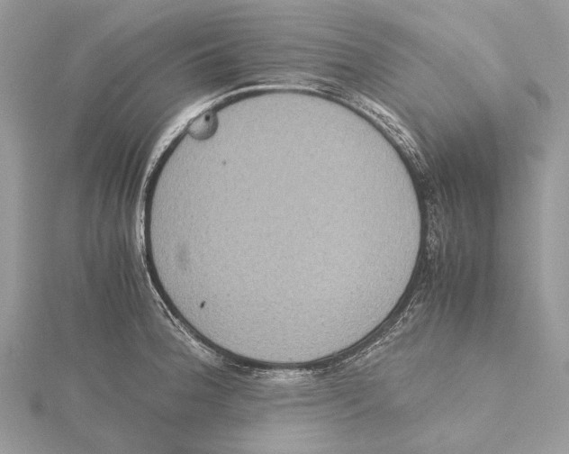 X0000115441188200912020938