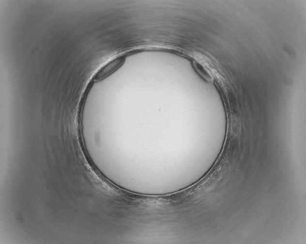 X0000115441189200912020938