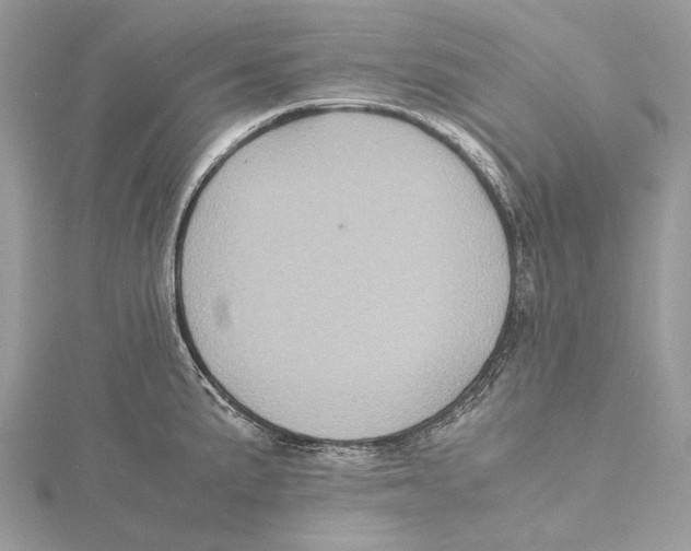 X0000115441191200912020938