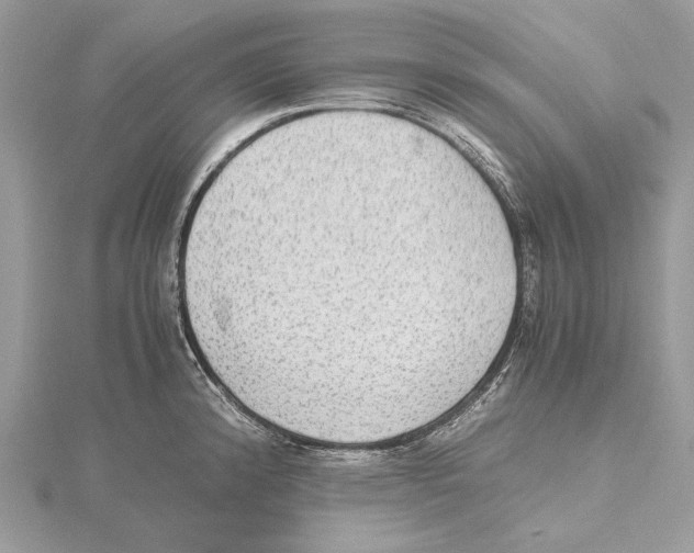 X0000115441192200912020938