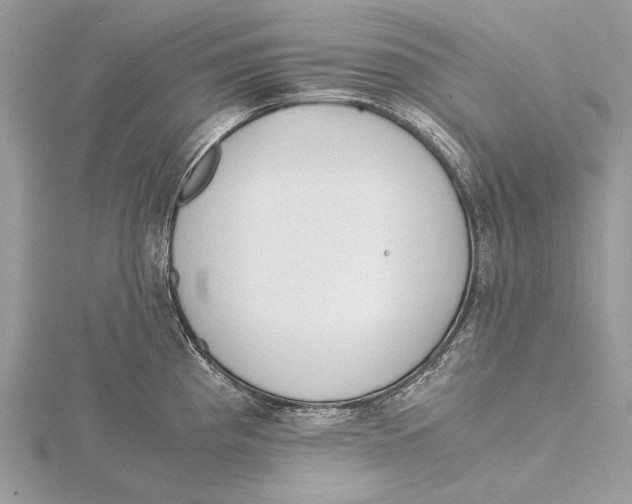 X0000115441193200912020938