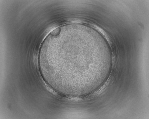 X0000115441194200912020938