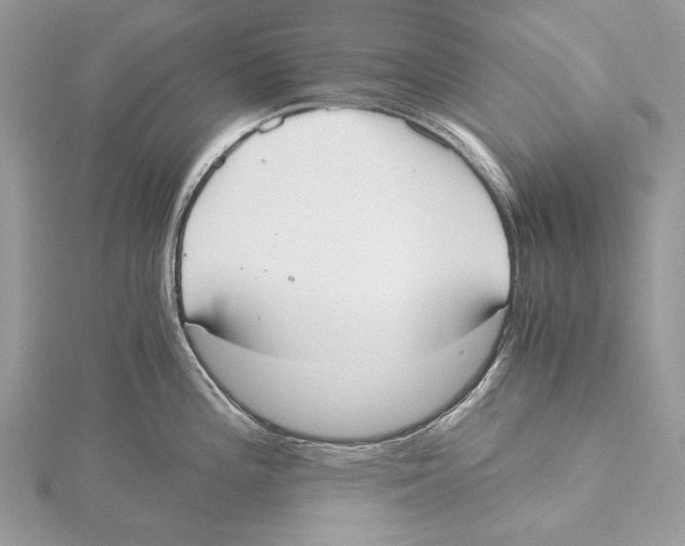 X0000115441196200912020938