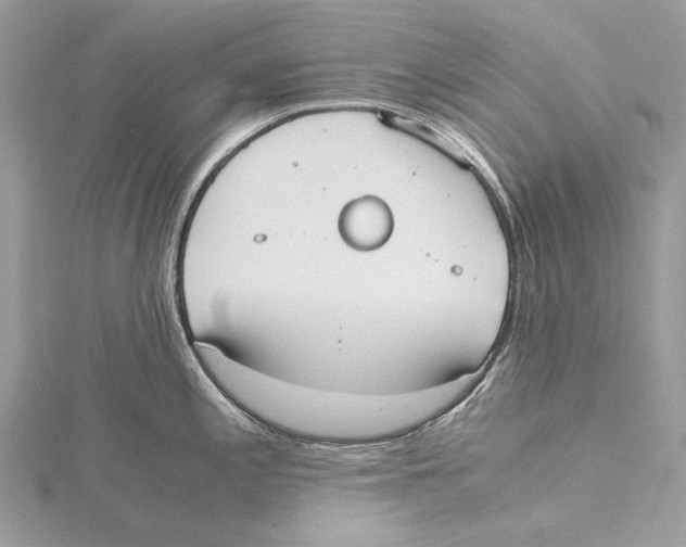 X0000115441197200912020938