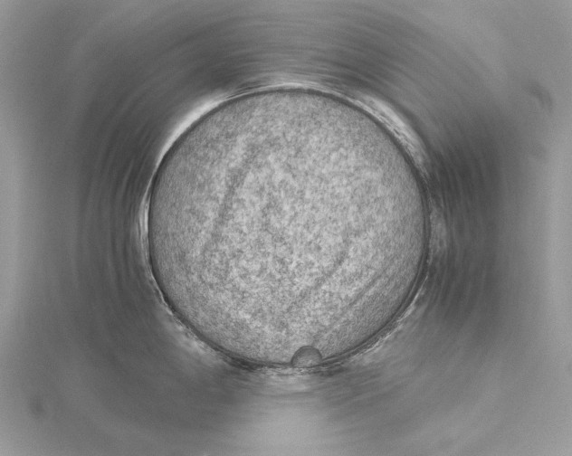 X0000115441198200912020938