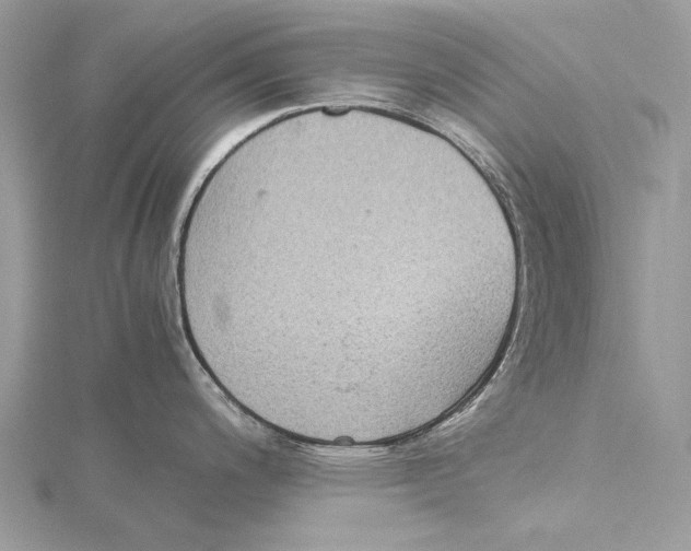 X0000115441200200912020938