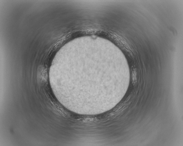 X0000115441204200912020938