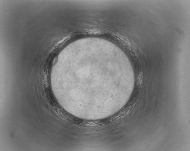 X0000115441205200912020938