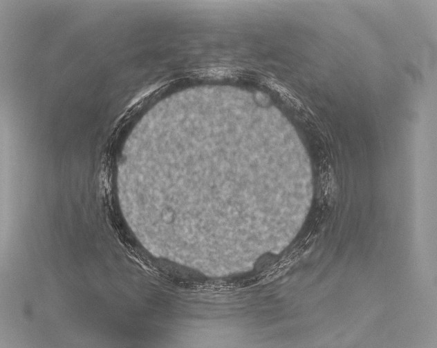 X0000115441206200912020938