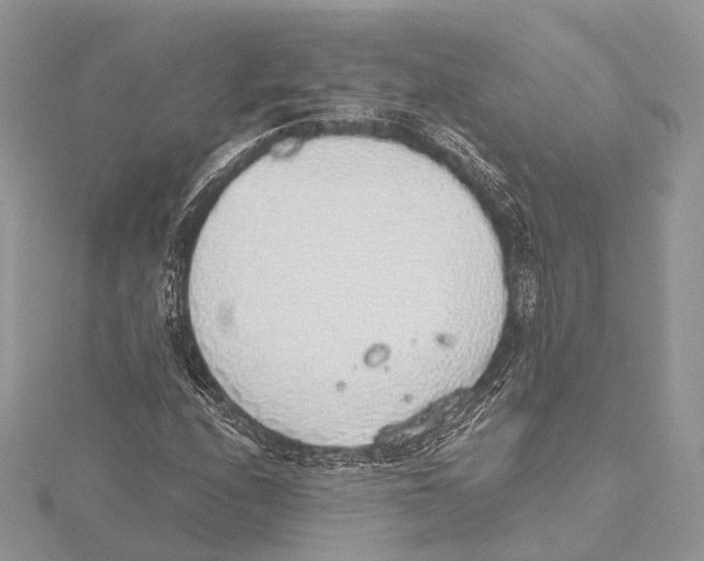 X0000115441208200912020938