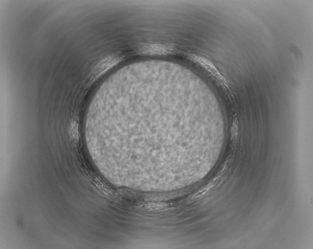 X0000115441209200912020938