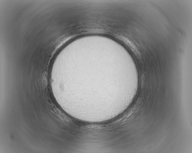 X0000115441212200912020938