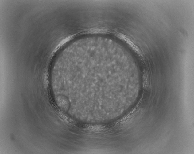 X0000115441213200912020938