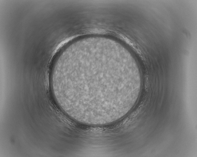 X0000115441214200912020938