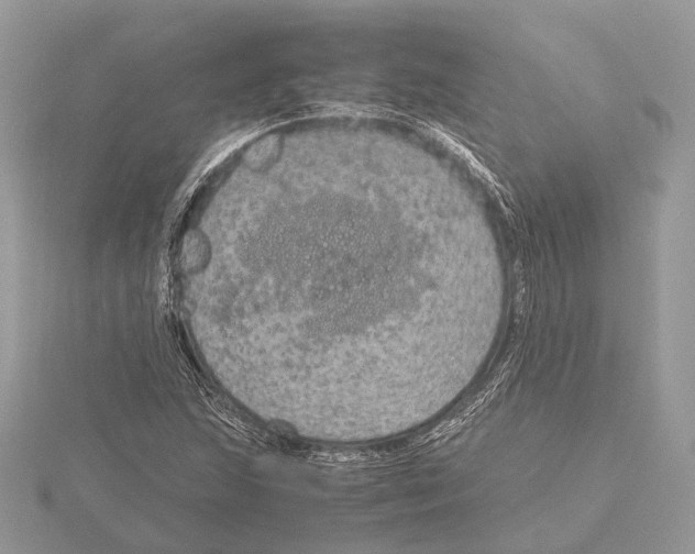 X0000115441215200912020938