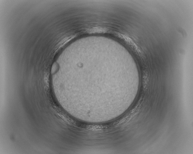 X0000115441217200912020938