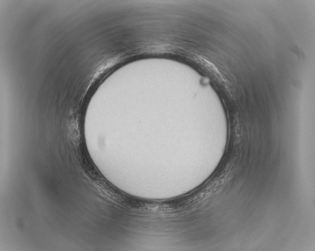 X0000115441218200912020938