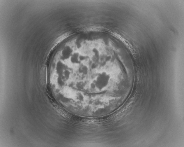 X0000115441219200912020938