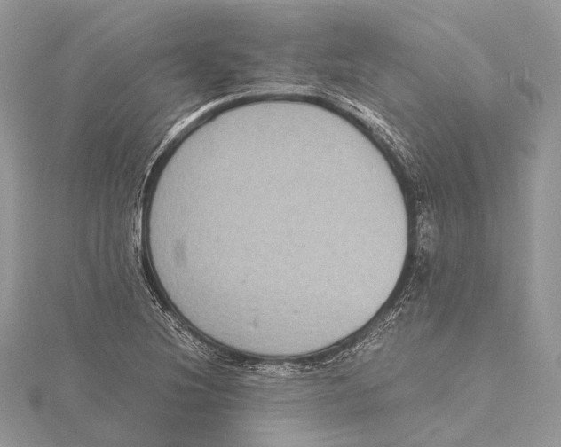 X0000115441220200912020938