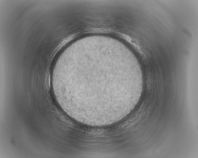 X0000115441221200912020938