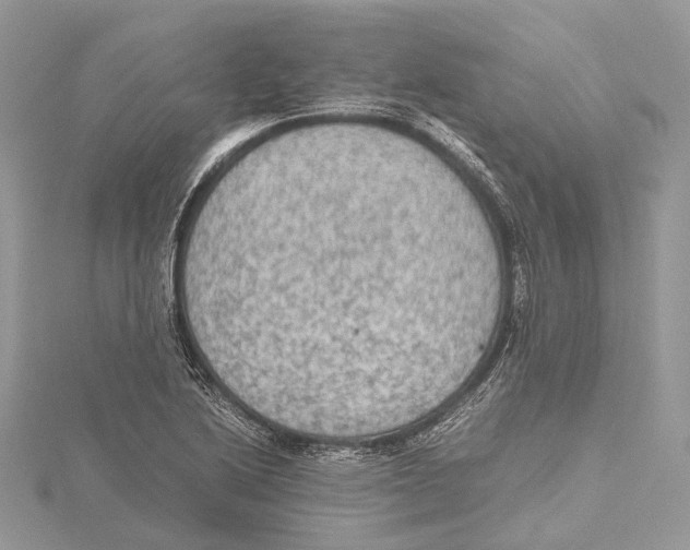 X0000115441222200912020938