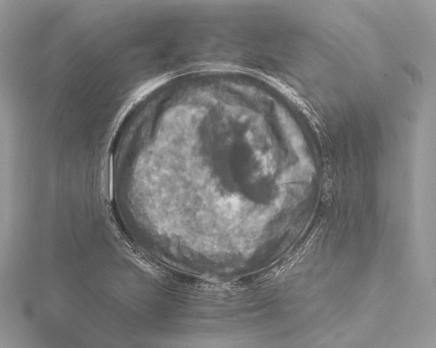 X0000115441223200912020938