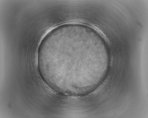 X0000115441224200912020938