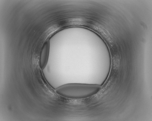 X0000115441225200912020938