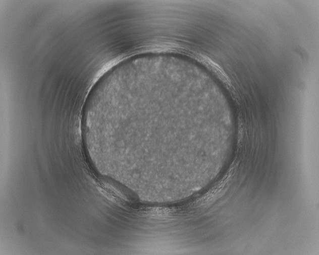 X0000115441226200912020938