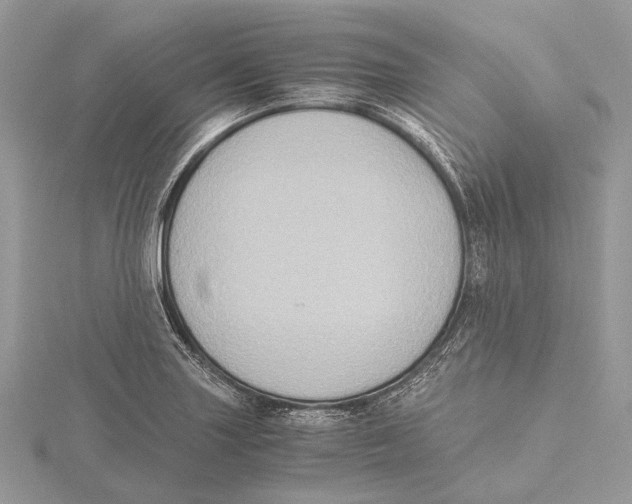 X0000115441227200912020938