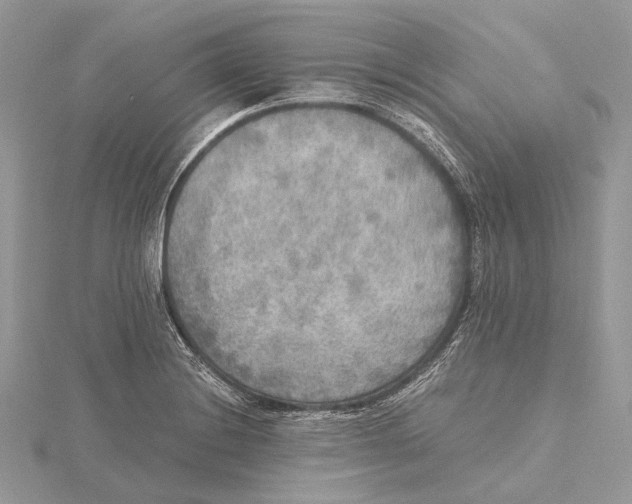 X0000115441228200912020938