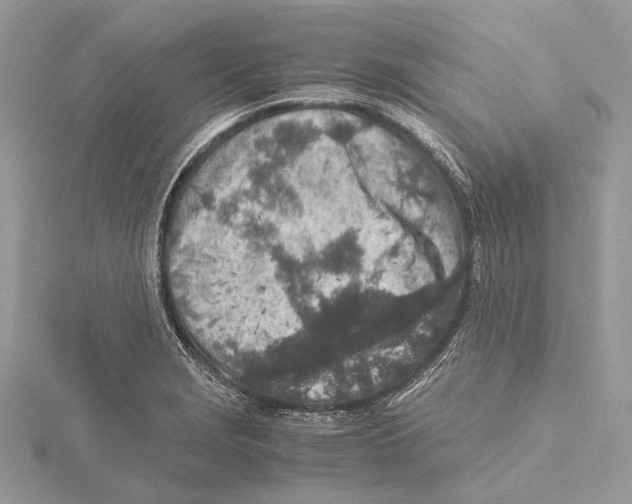 X0000115441229200912020938