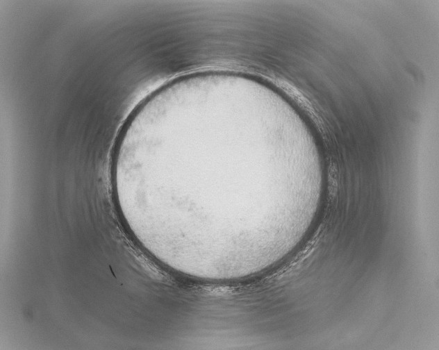 X0000115441230200912020938