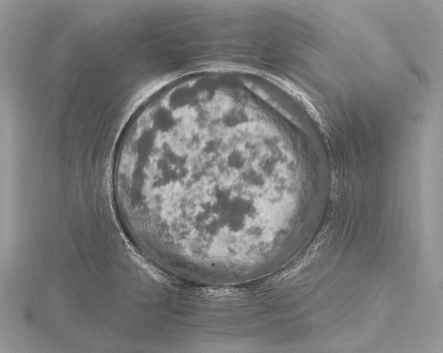 X0000115441231200912020938