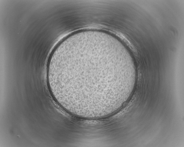 X0000115441232200912020938