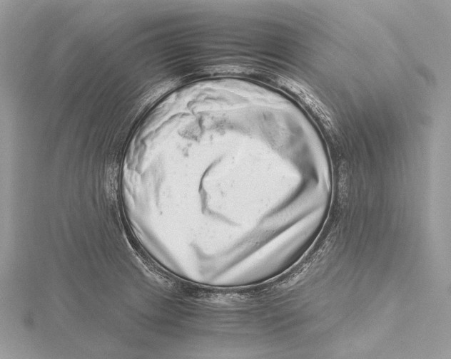 X0000115441233200912020938