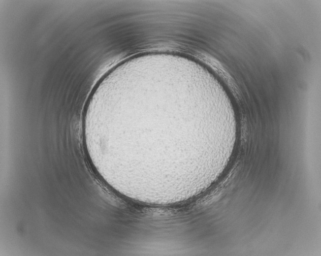 X0000115441234200912020938