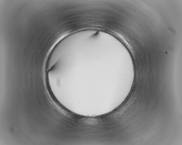 X0000115441235200912020938