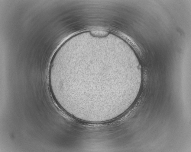 X0000115441236200912020938