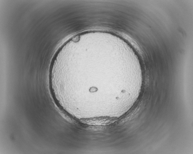 X0000115441237200912020938