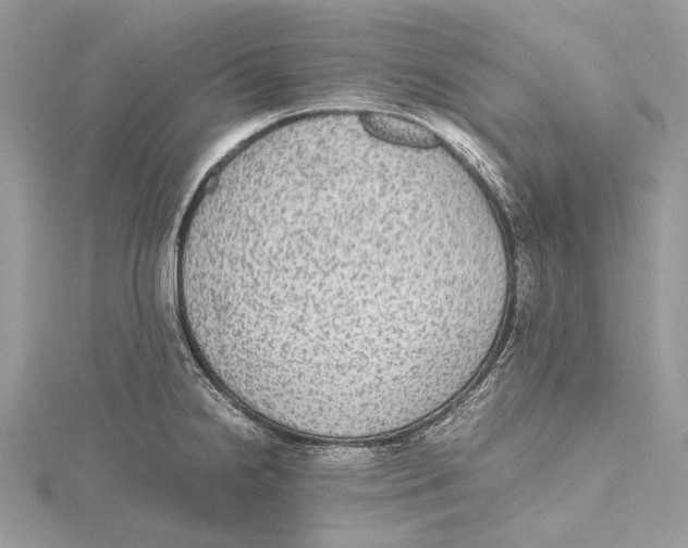 X0000115441238200912020938