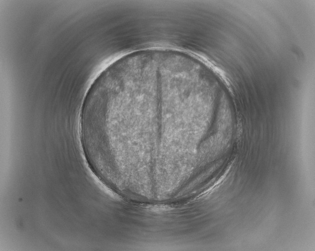 X0000115441239200912020938