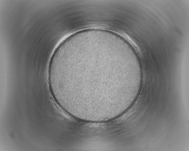 X0000115441240200912020938