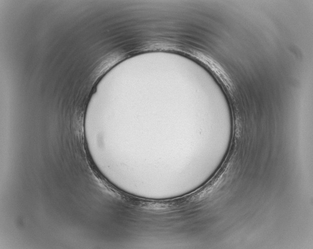 X0000115441241200912020938