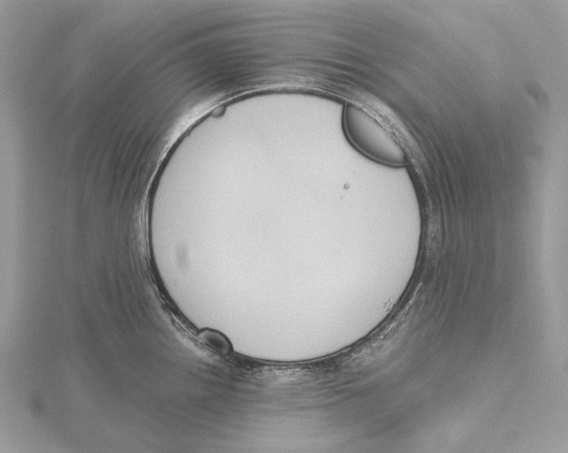 X0000115441242200912020938