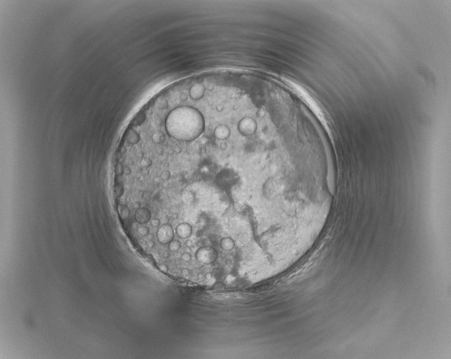 X0000115441243200912020938