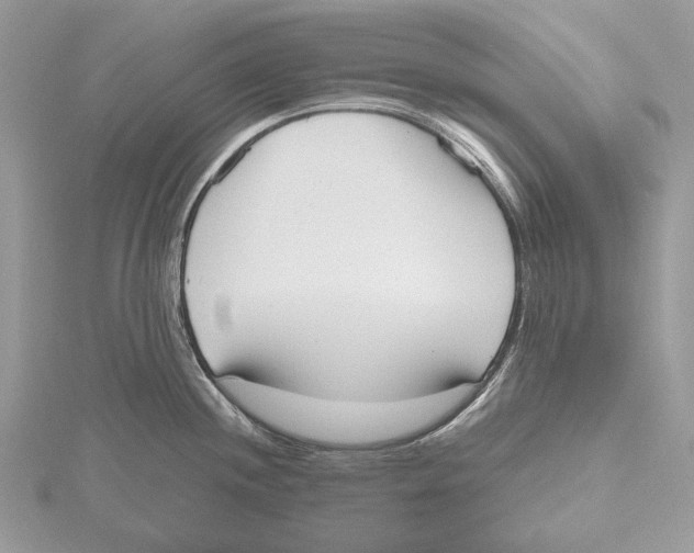 X0000115441244200912020938