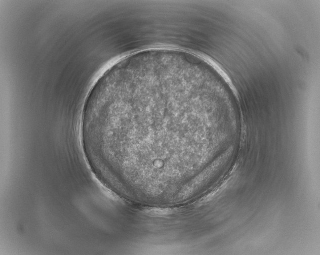 X0000115441245200912020938